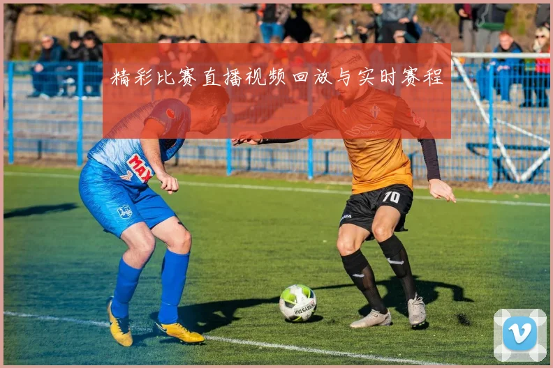 精彩比赛直播视频回放与实时赛程